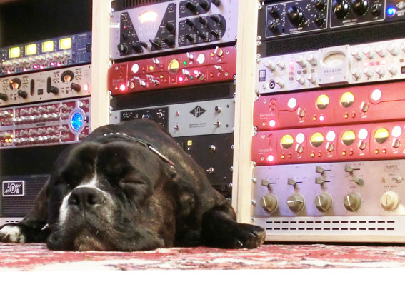 Chevy at Dog Licks Recording Studio